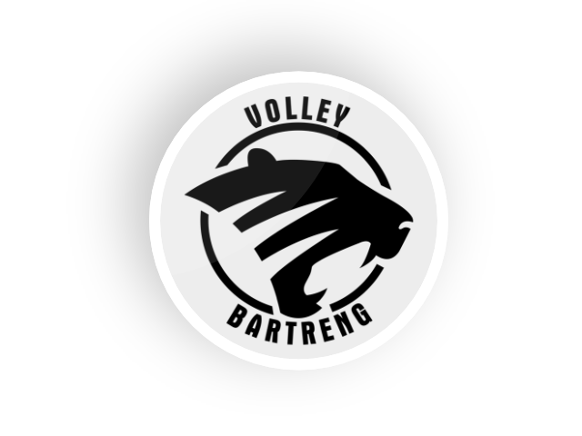 volley bartreng
