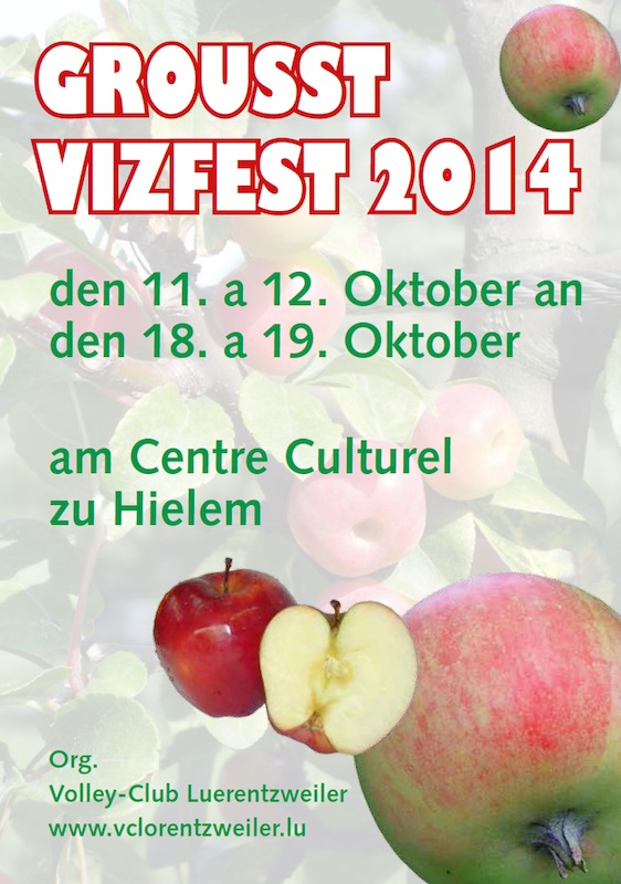 2014 Vizfest VCL